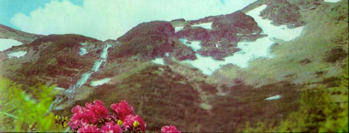 Bk-01.jpg (58987 bytes)