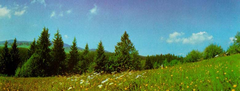 Bk-01.jpg (58987 bytes)