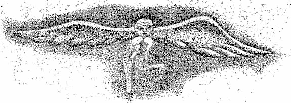 Angel of dream