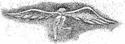 Angel of dream