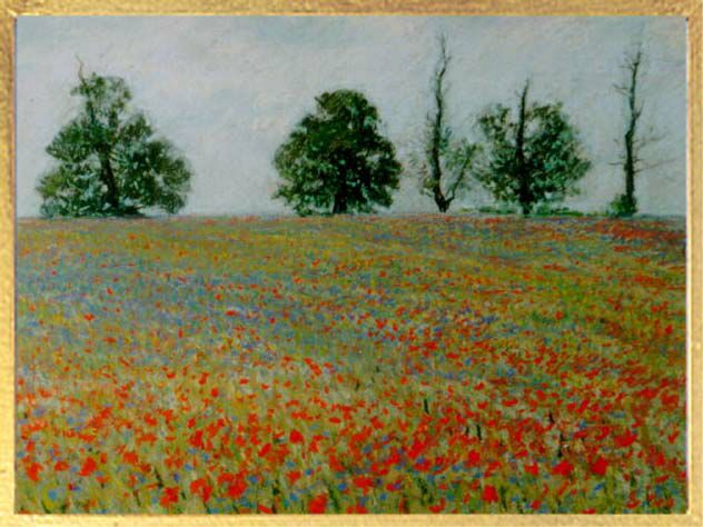 Poppies and cornflowers in wheat