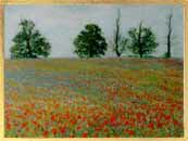 Poppies and cornflowers in wheat