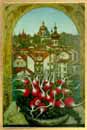 Chernivtsi